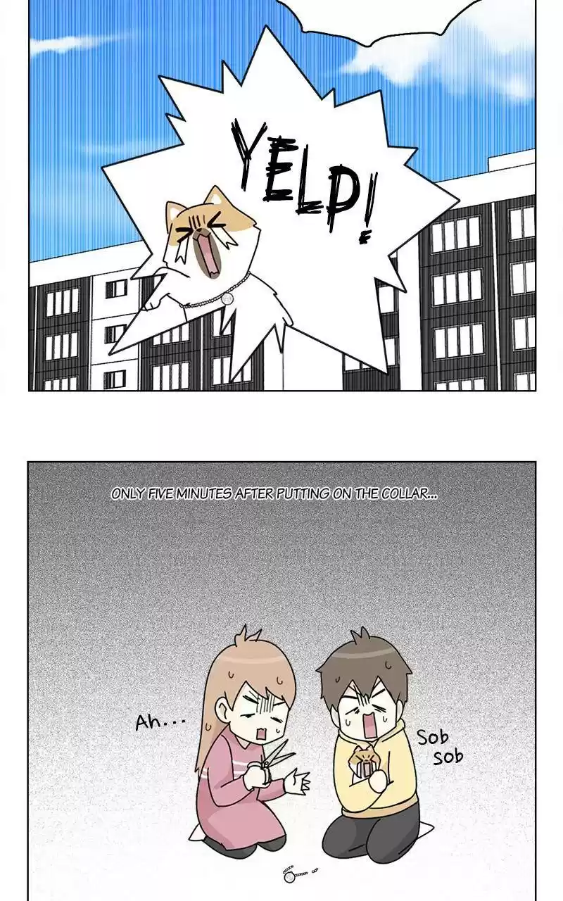 The Dog Diaries Chapter 9