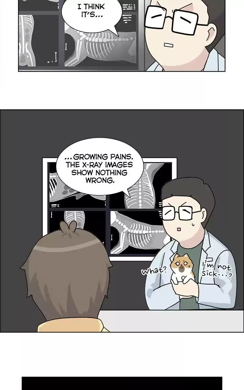 The Dog Diaries Chapter 9