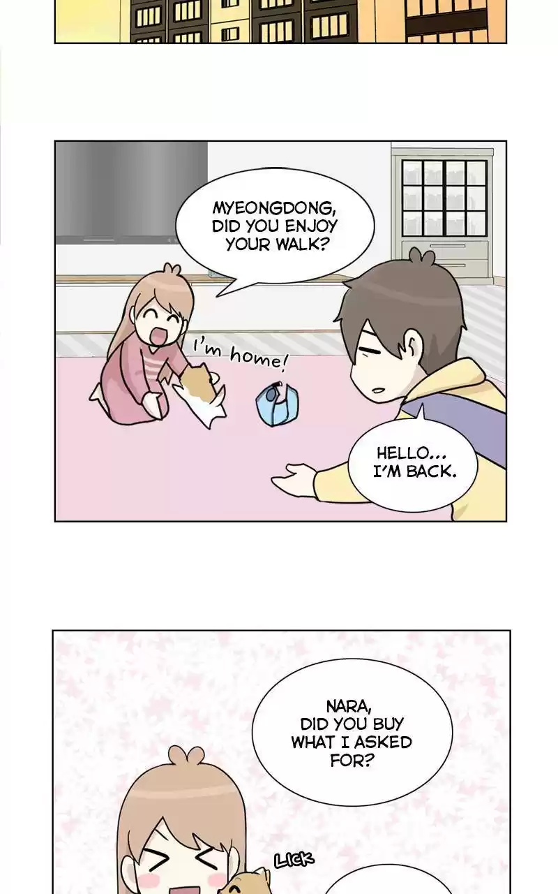 The Dog Diaries Chapter 9