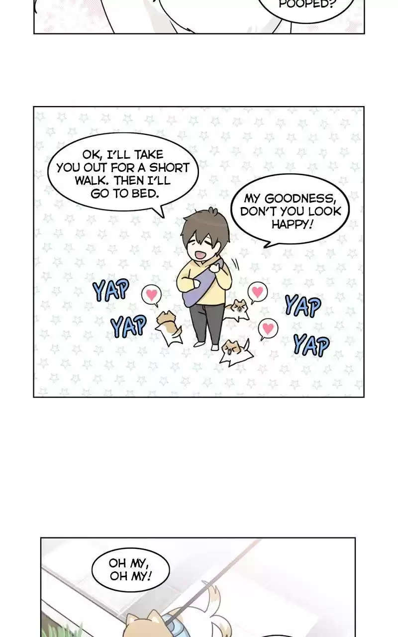 The Dog Diaries Chapter 9