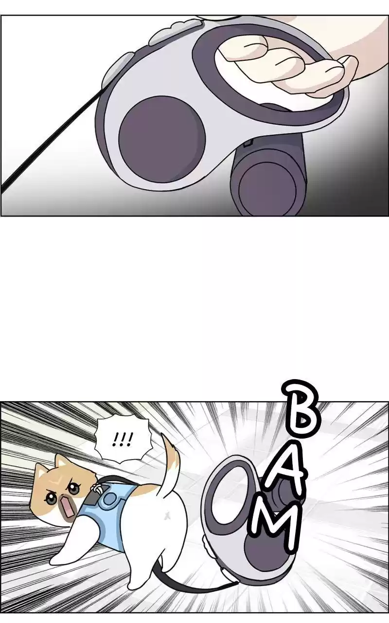 The Dog Diaries Chapter 9