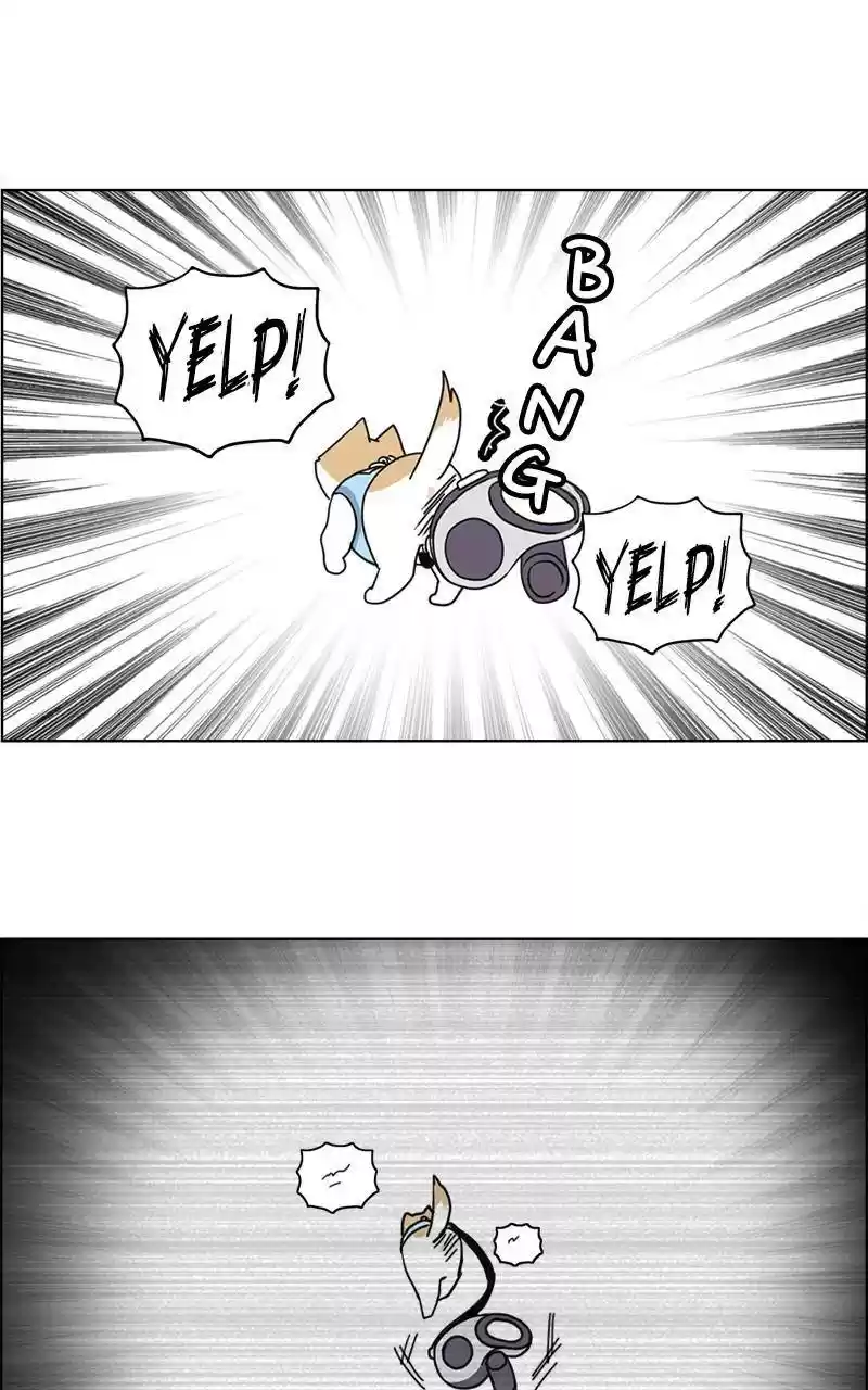 The Dog Diaries Chapter 9