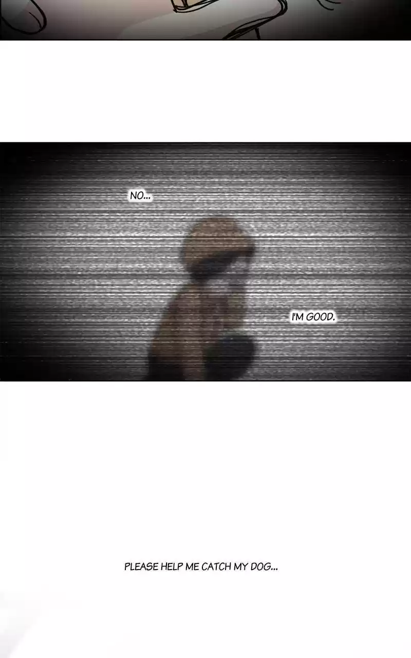 The Dog Diaries Chapter 9