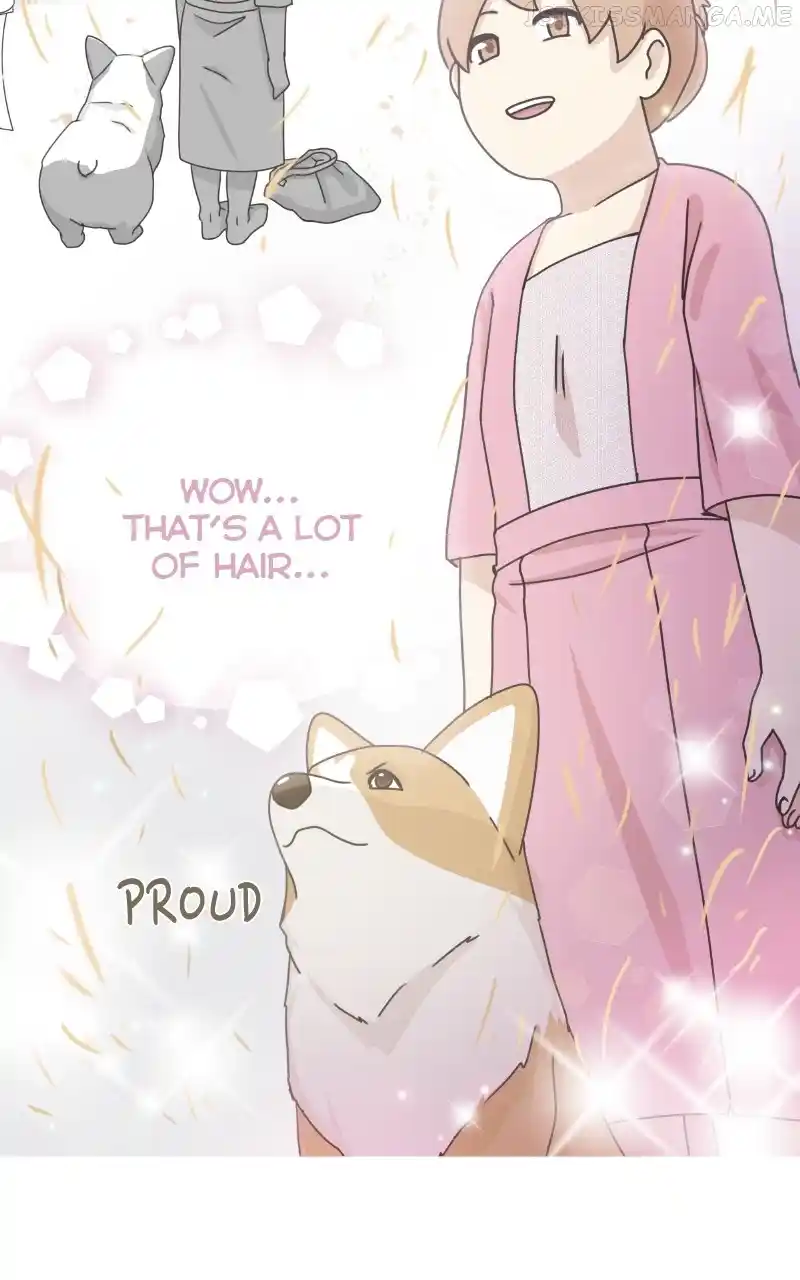 The Dog Diaries Chapter 90