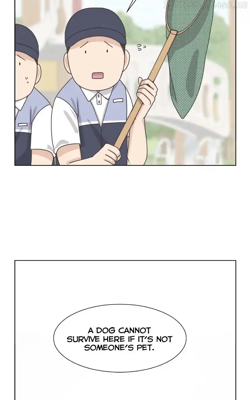 The Dog Diaries Chapter 90