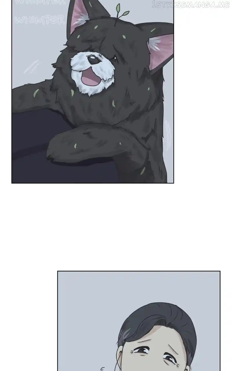 The Dog Diaries Chapter 90