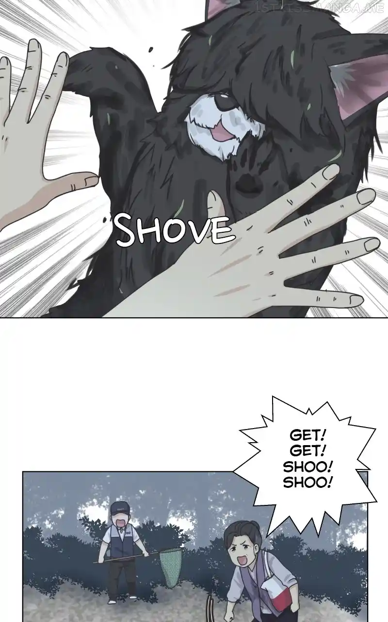 The Dog Diaries Chapter 90