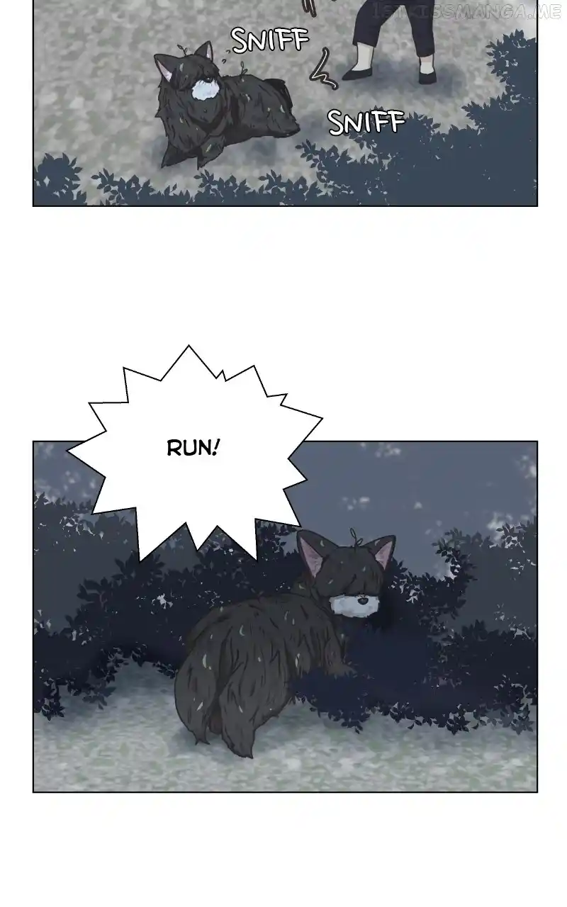 The Dog Diaries Chapter 90
