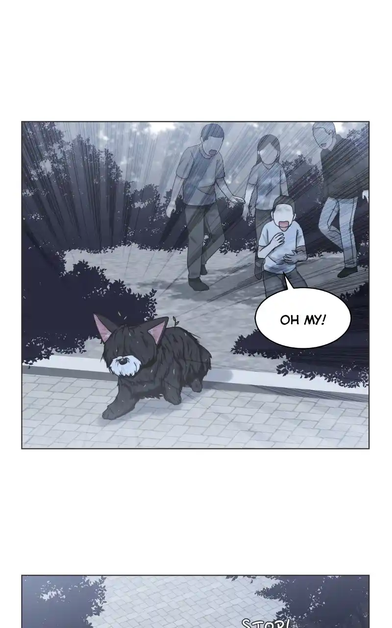 The Dog Diaries Chapter 91