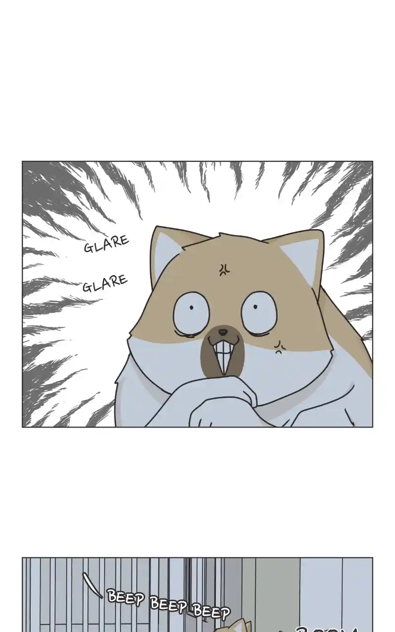 The Dog Diaries Chapter 91