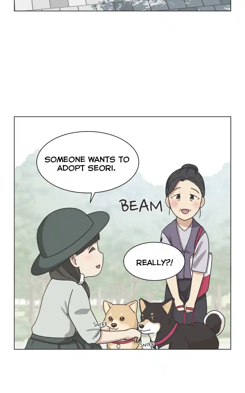 The Dog Diaries Chapter 91