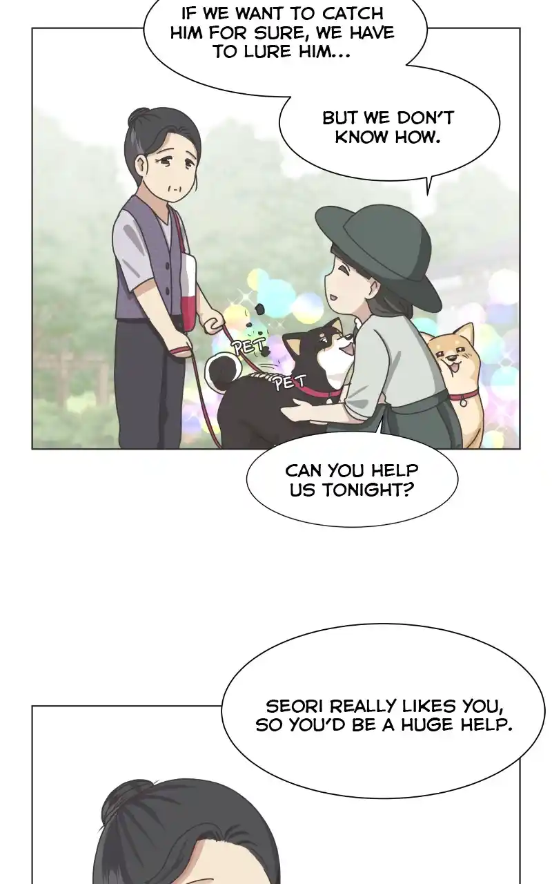 The Dog Diaries Chapter 91