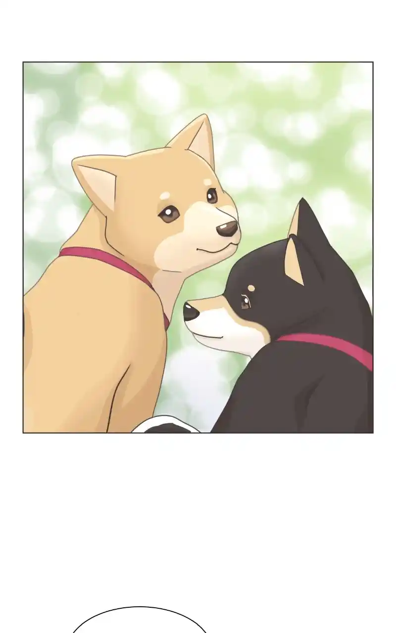 The Dog Diaries Chapter 91