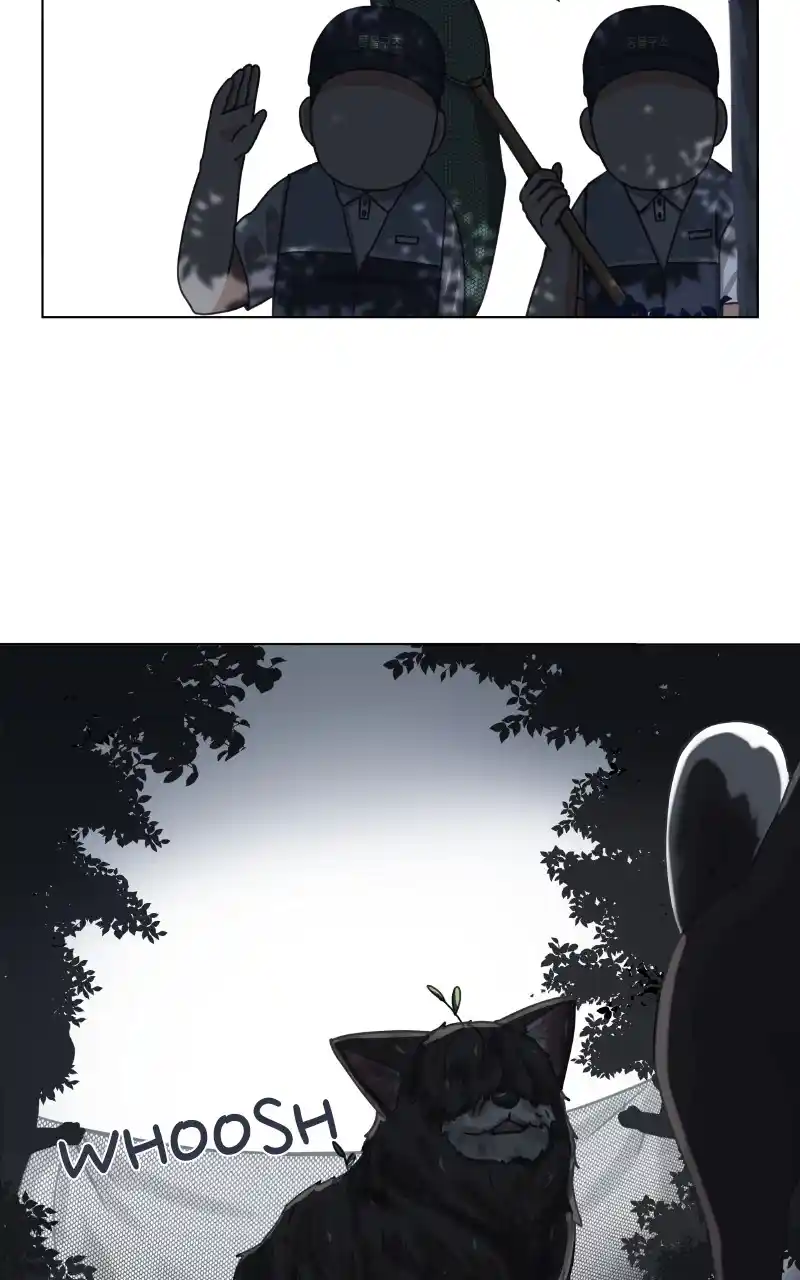 The Dog Diaries Chapter 92