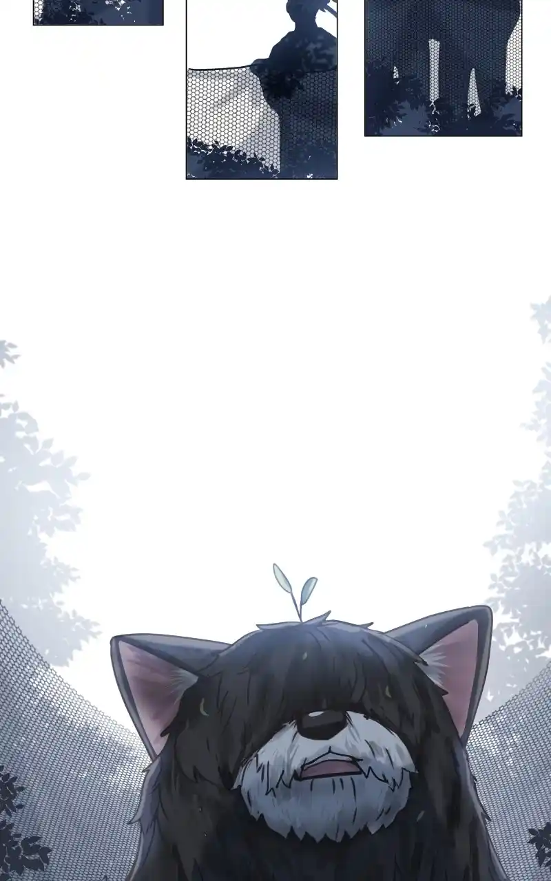 The Dog Diaries Chapter 92