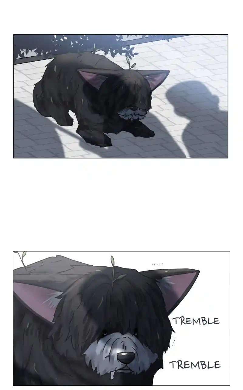 The Dog Diaries Chapter 92