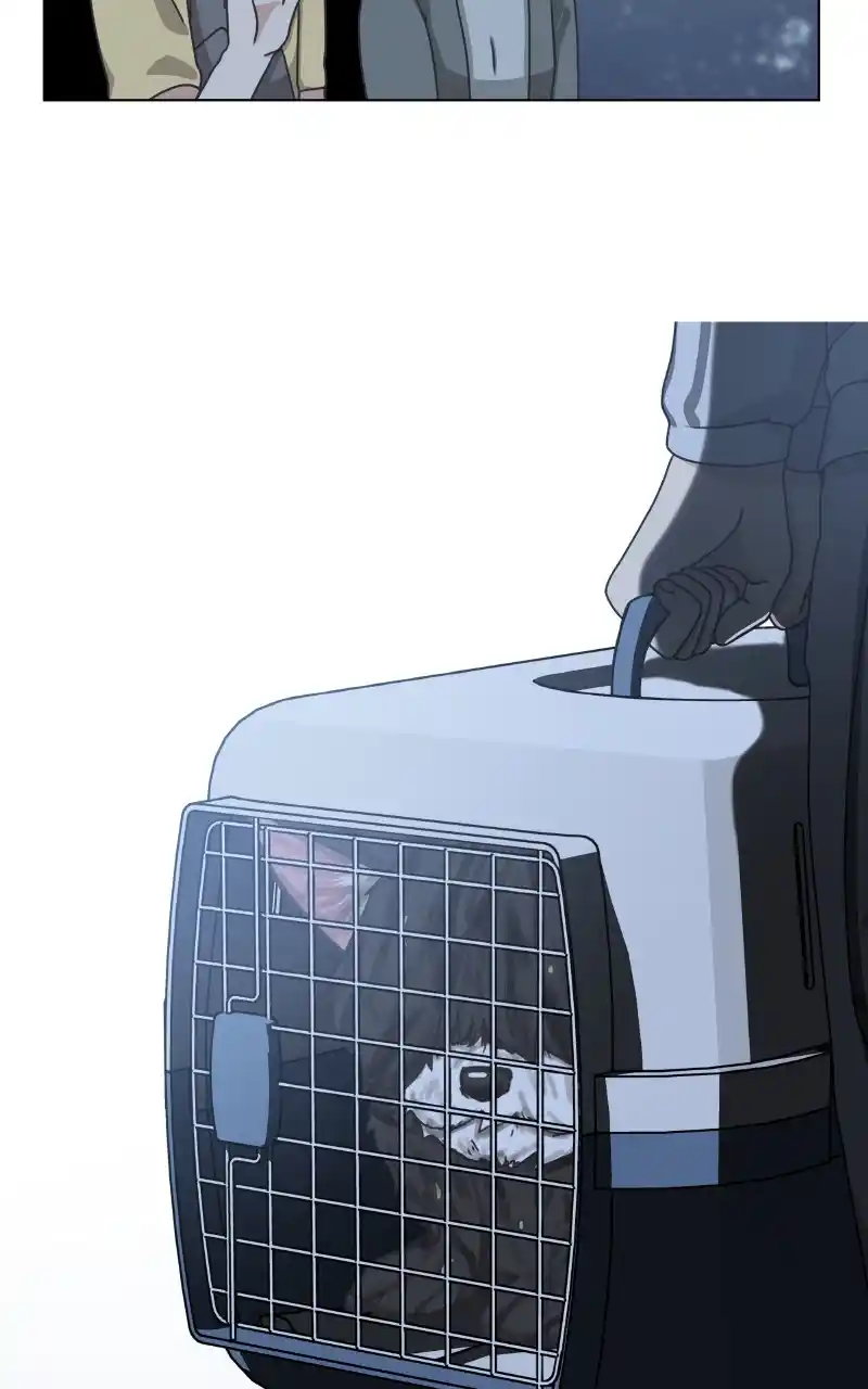 The Dog Diaries Chapter 92