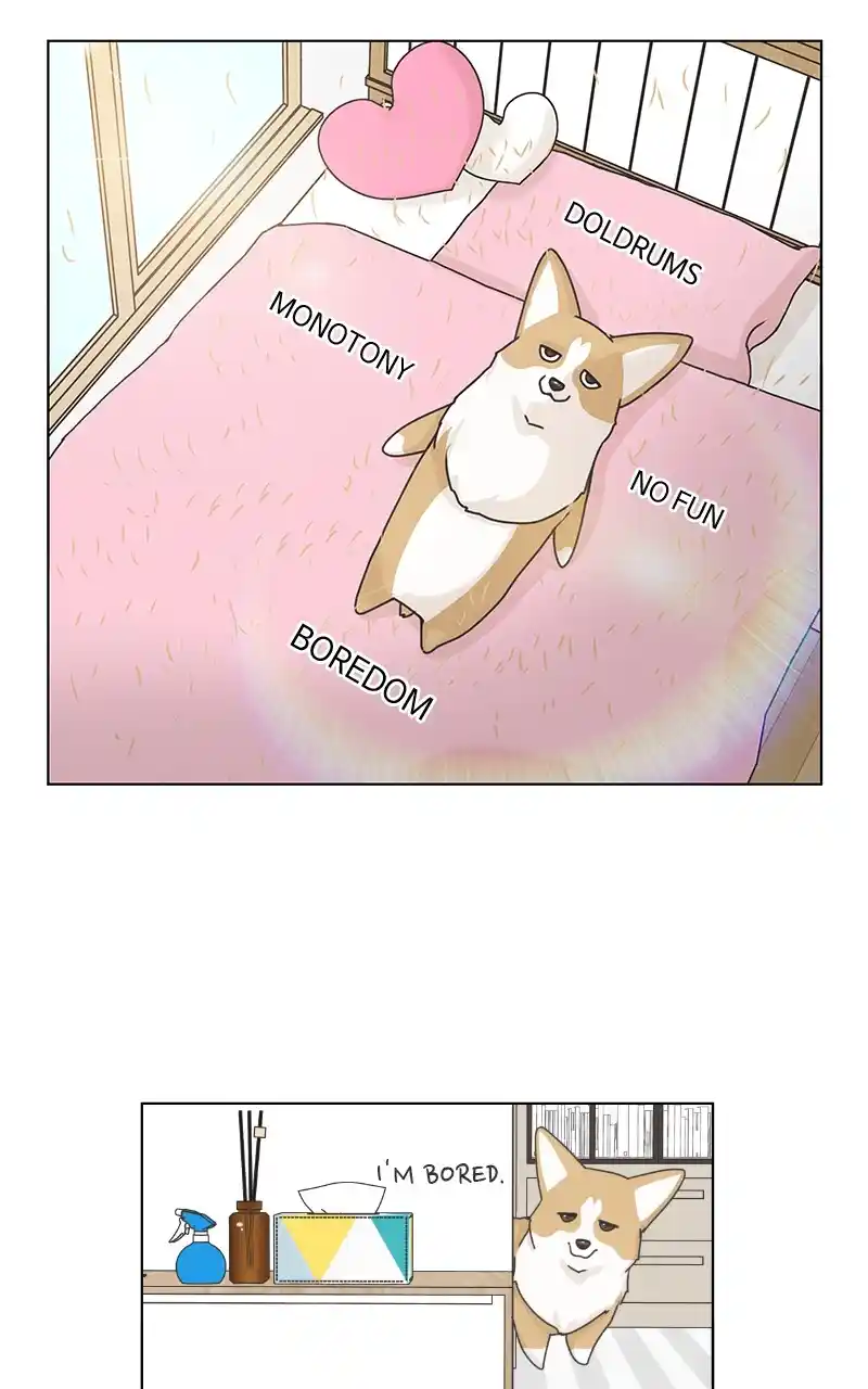 The Dog Diaries Chapter 92