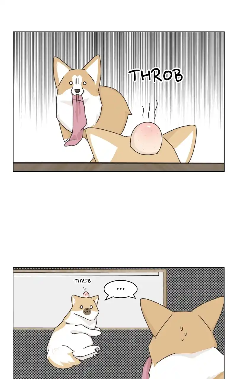 The Dog Diaries Chapter 92