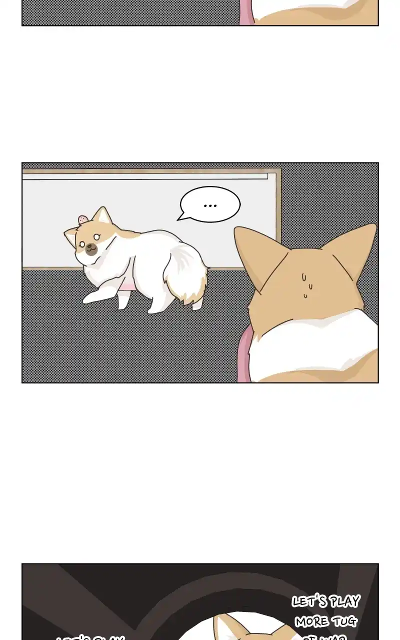 The Dog Diaries Chapter 92