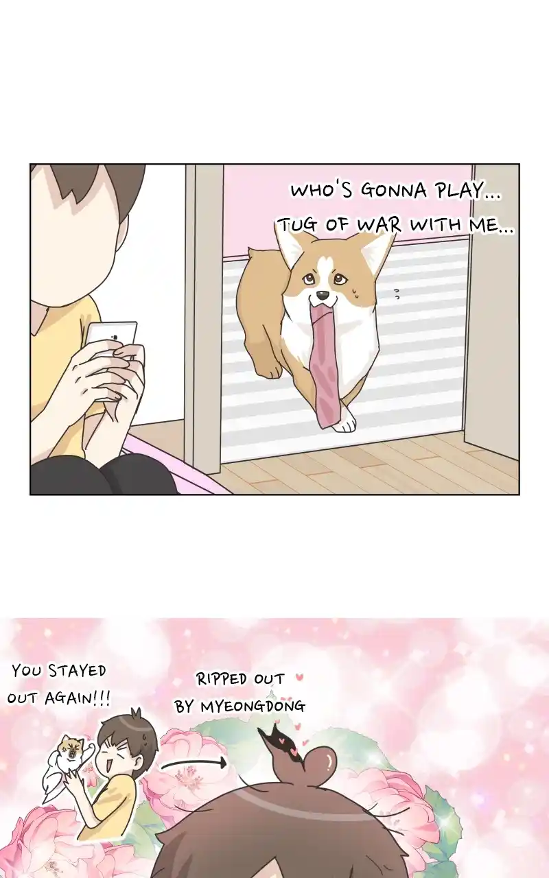 The Dog Diaries Chapter 92