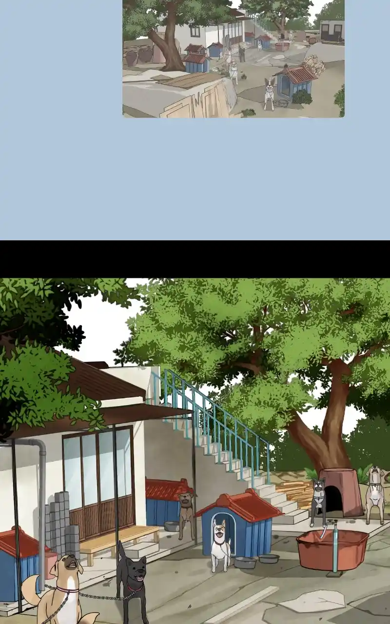 The Dog Diaries Chapter 92