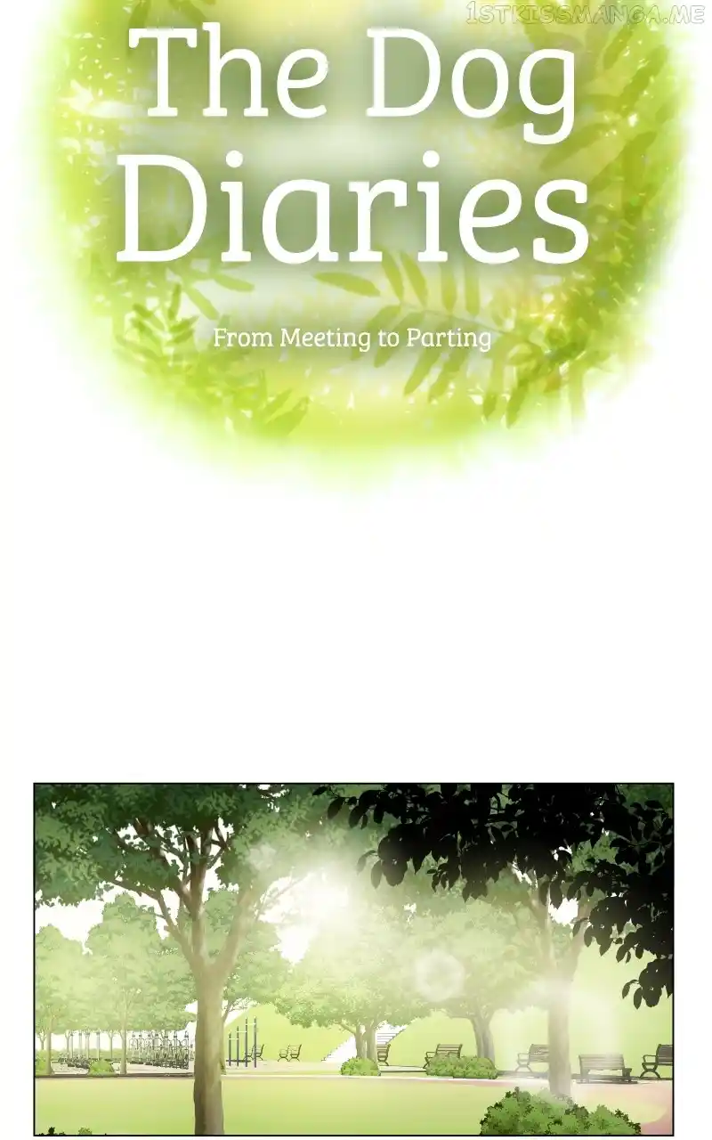 The Dog Diaries Chapter 93