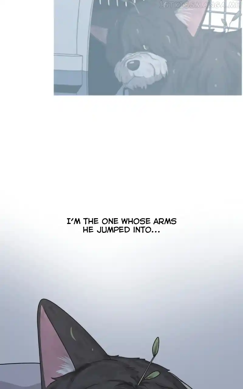 The Dog Diaries Chapter 93