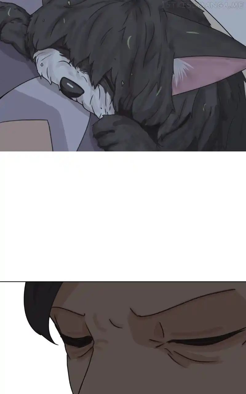 The Dog Diaries Chapter 93