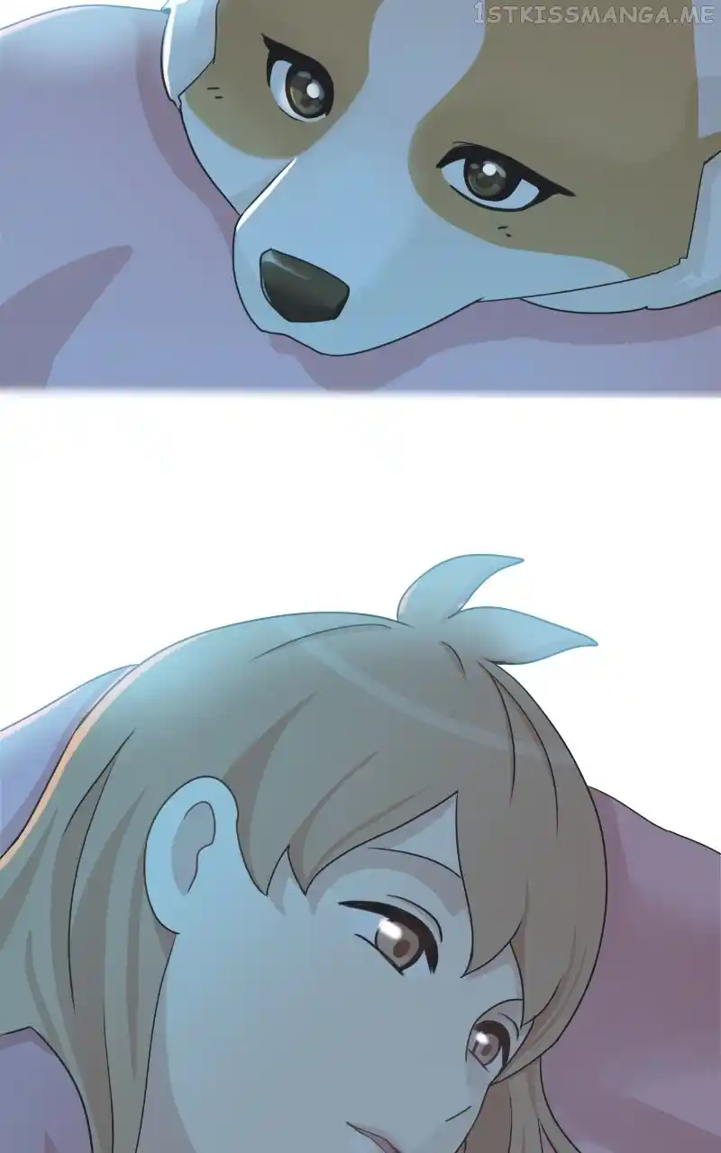 The Dog Diaries Chapter 94