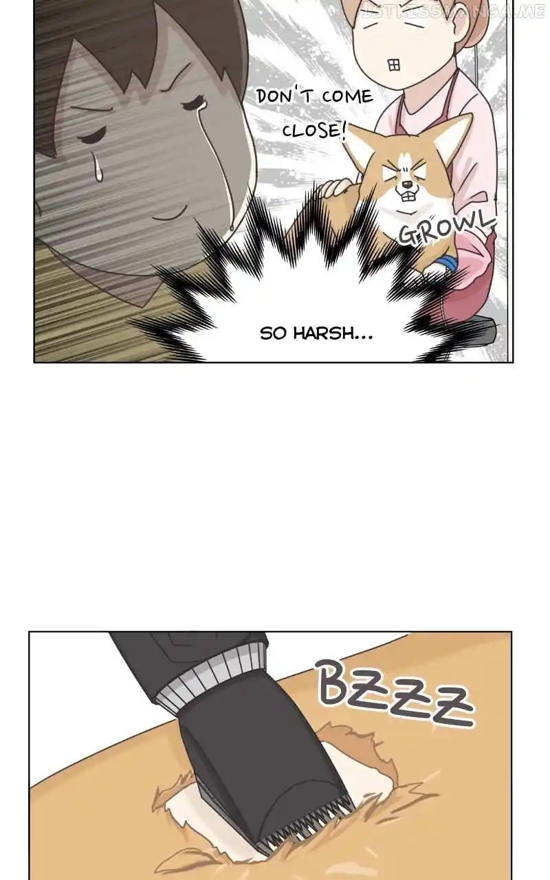 The Dog Diaries Chapter 94