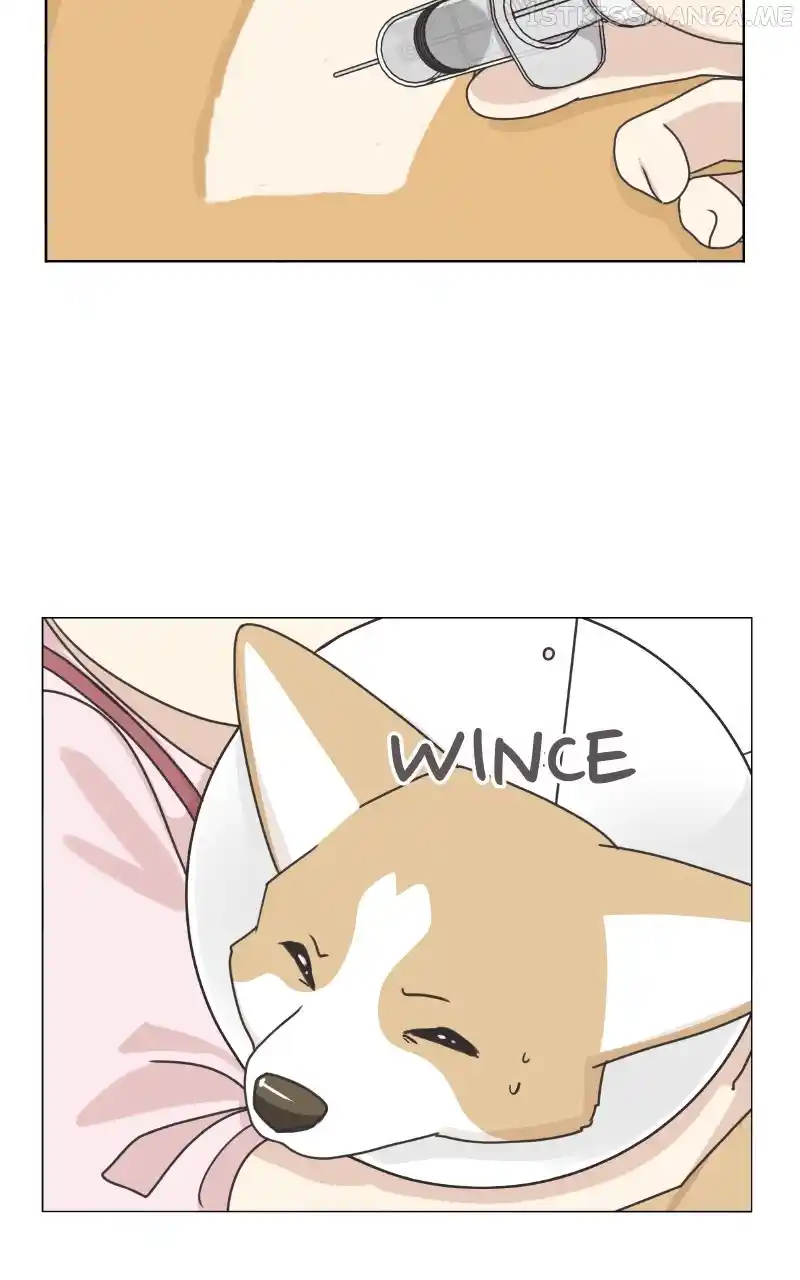 The Dog Diaries Chapter 94