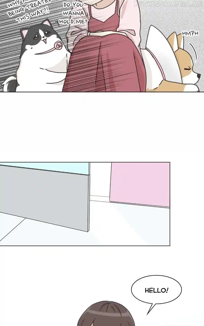 The Dog Diaries Chapter 94