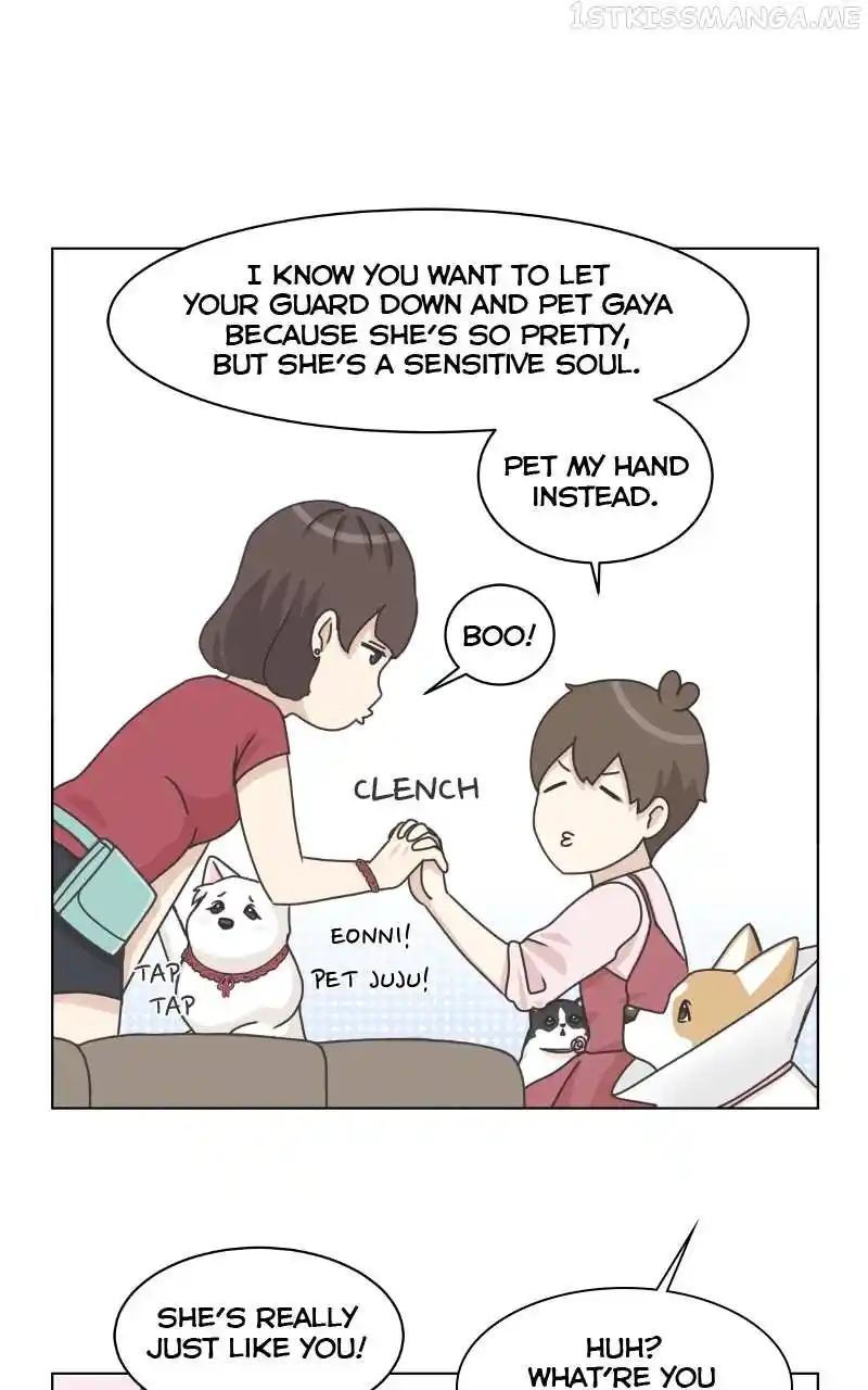 The Dog Diaries Chapter 95