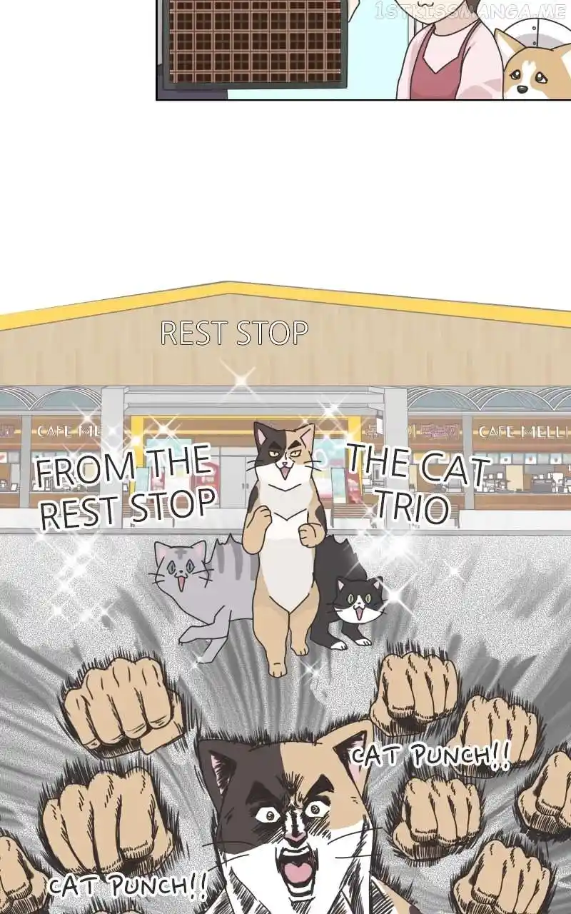 The Dog Diaries Chapter 95