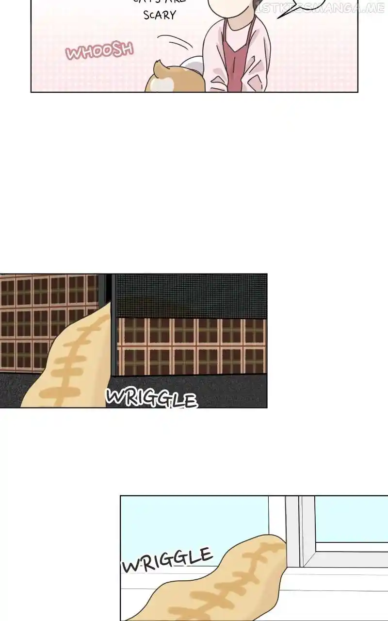 The Dog Diaries Chapter 95