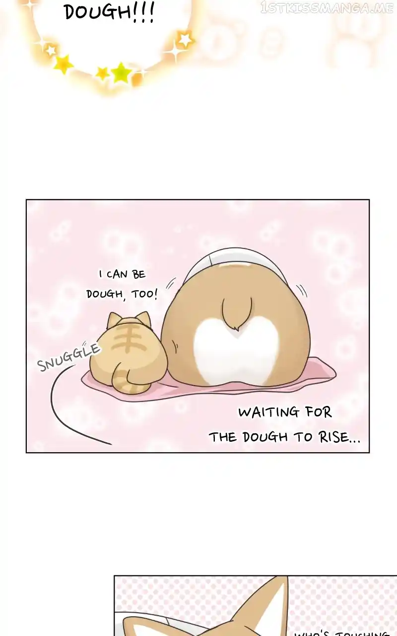 The Dog Diaries Chapter 95