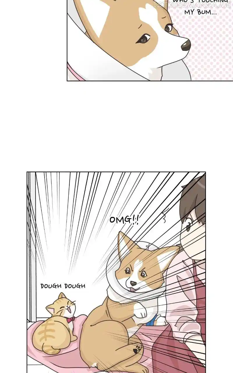 The Dog Diaries Chapter 95