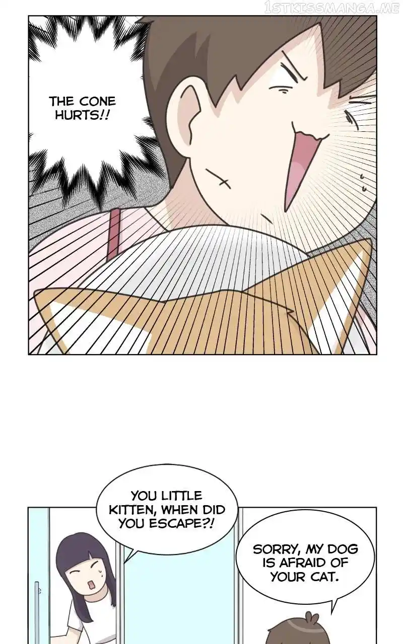 The Dog Diaries Chapter 95