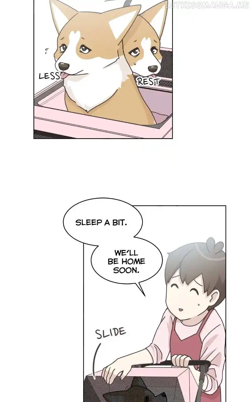 The Dog Diaries Chapter 95