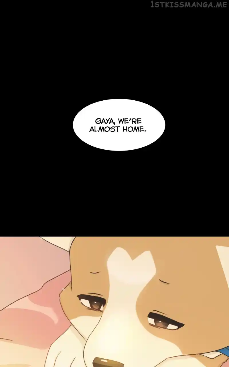 The Dog Diaries Chapter 95