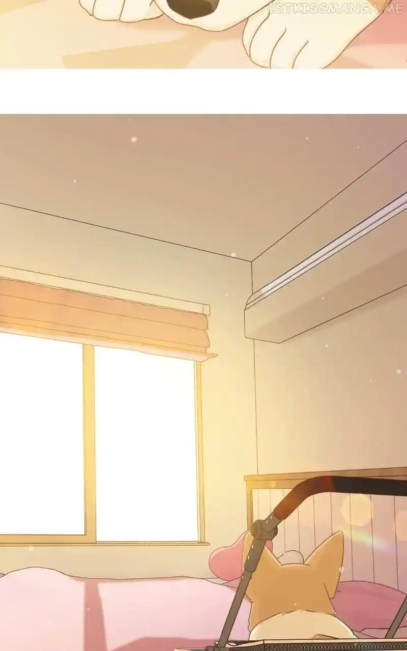 The Dog Diaries Chapter 95