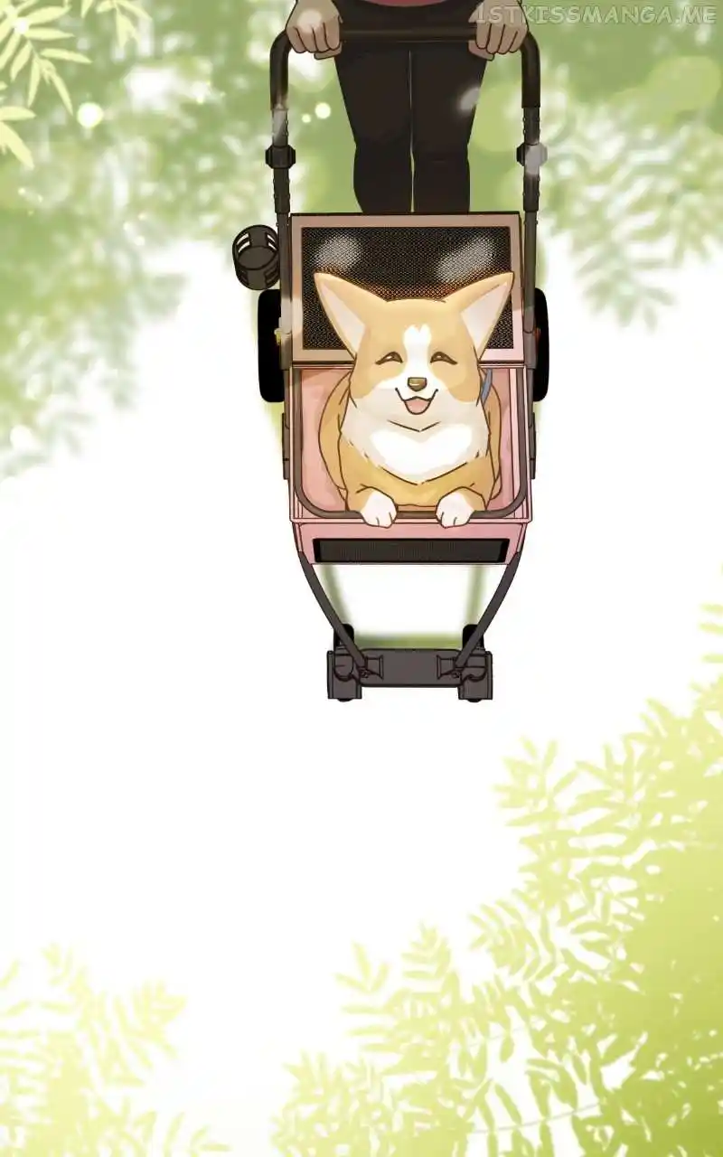The Dog Diaries Chapter 95