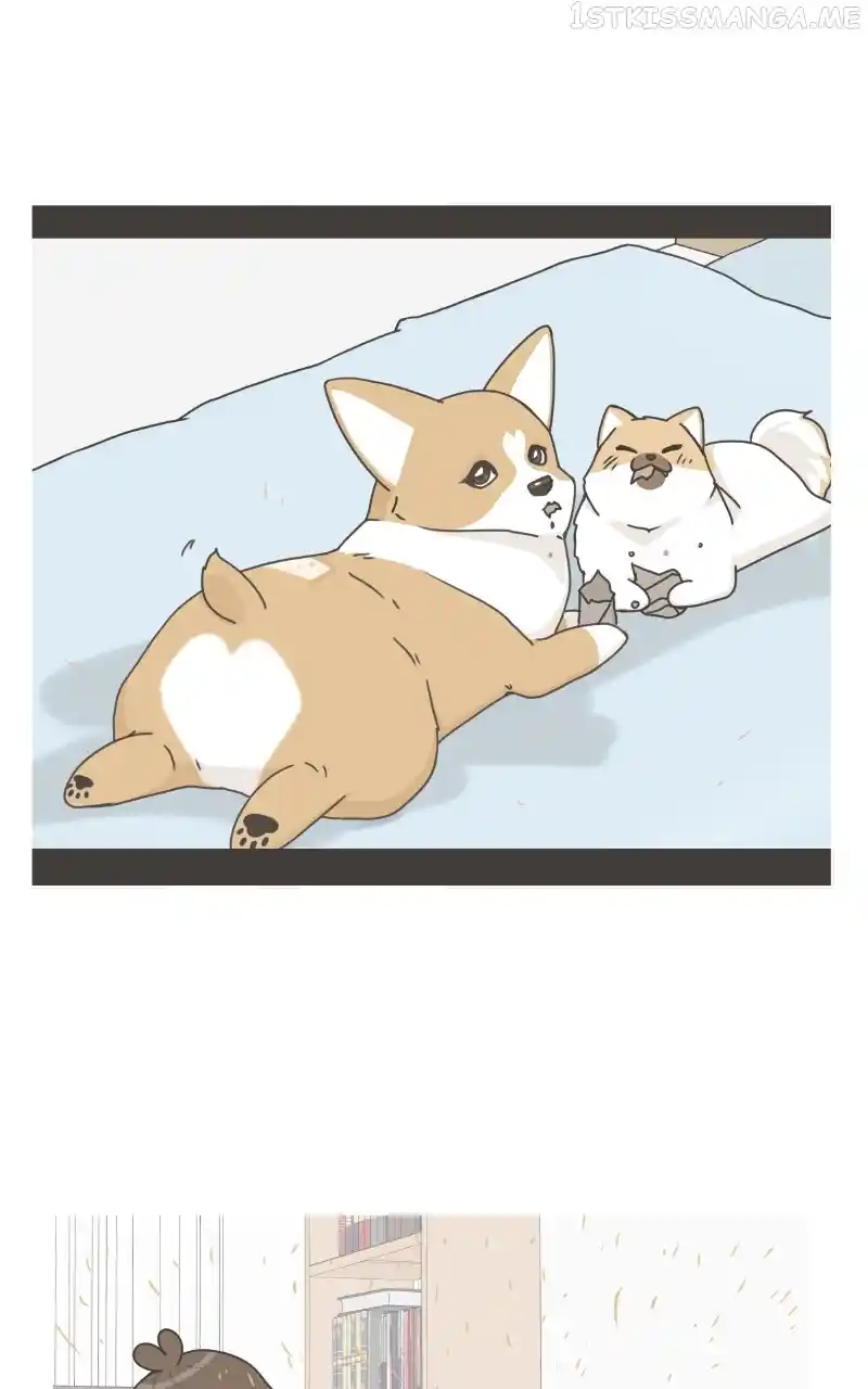 The Dog Diaries Chapter 95