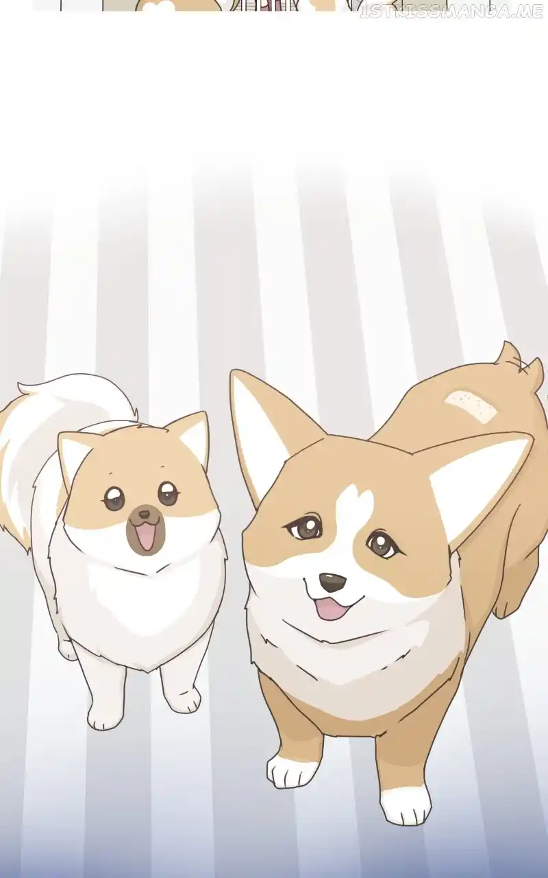 The Dog Diaries Chapter 95