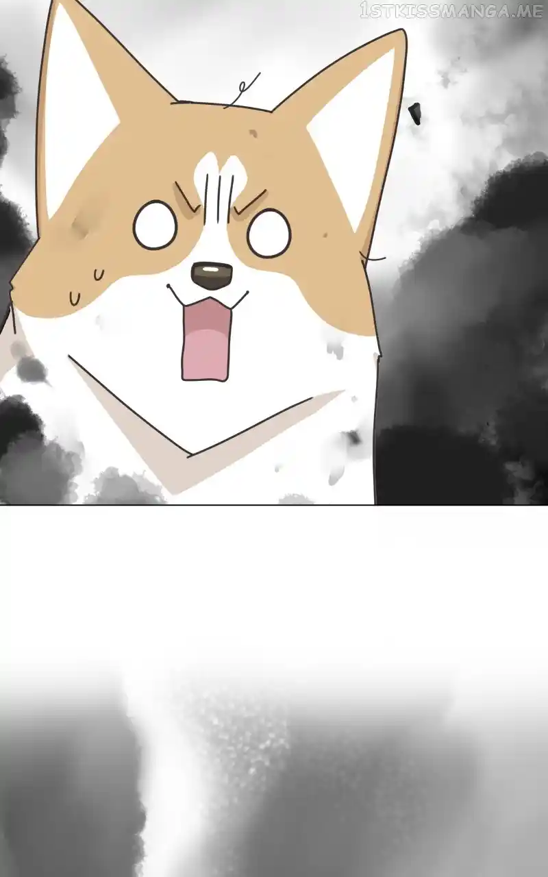 The Dog Diaries Chapter 95