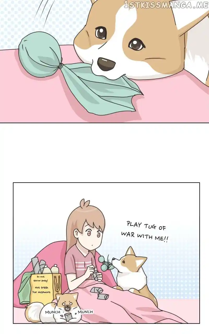 The Dog Diaries Chapter 96