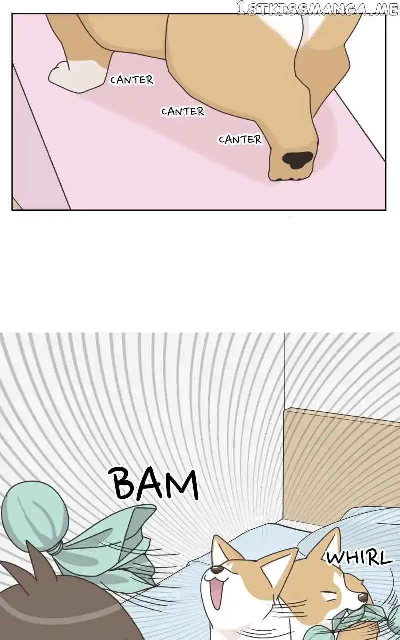 The Dog Diaries Chapter 96