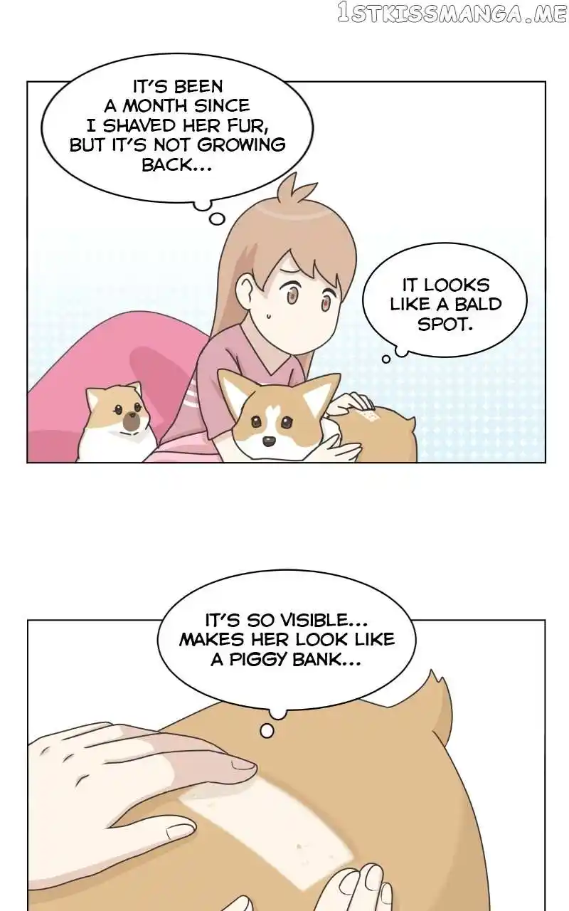 The Dog Diaries Chapter 96