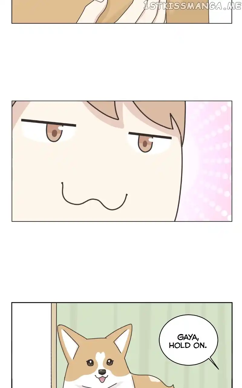 The Dog Diaries Chapter 96